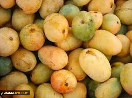 میناب3 2