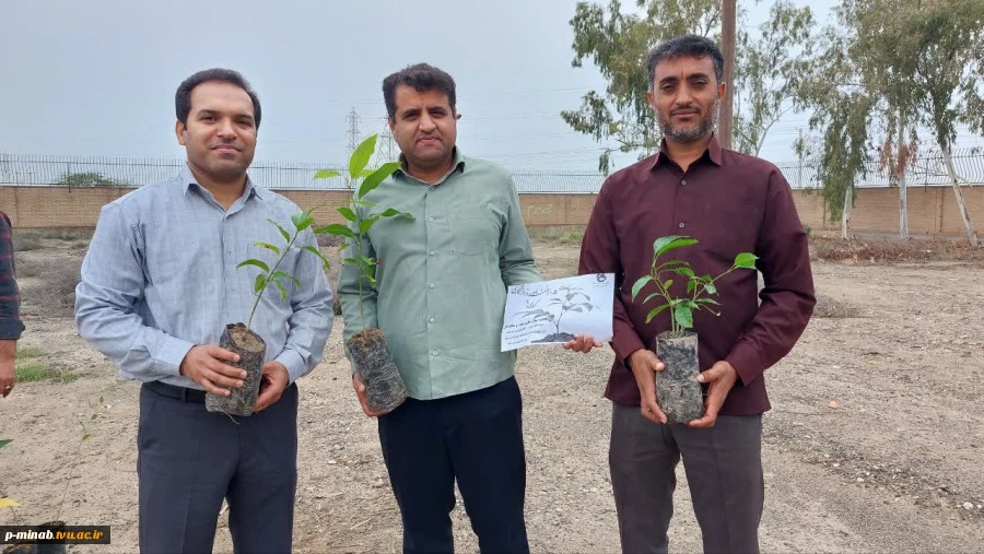 روز درختکاری 3