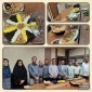سفره غذای سالم