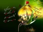 فرارسیدن ماه محرم، ماه قیام سرور و سالار آزادگان و شهیدان، حضرت اباعبدالله الحسین(ع) تسلیت و تعزیت باد.
